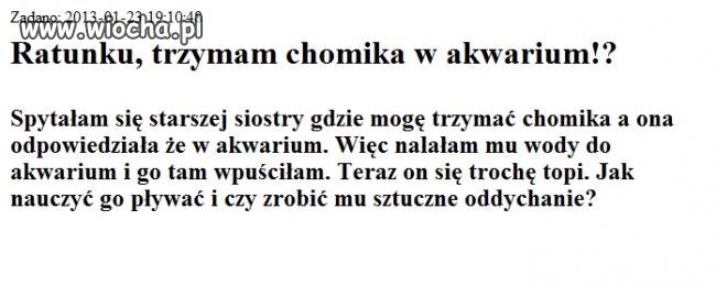 Ratunku, chomik się topi!