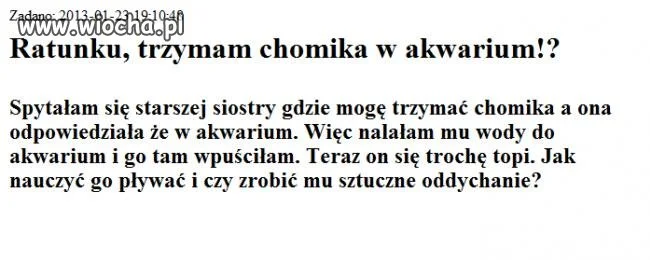 Ratunku, chomik się topi!