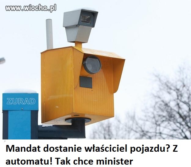 Jesteś właścicielem... płać!