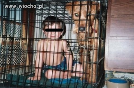 Zamknąć dzieciaka w klatce z psem 