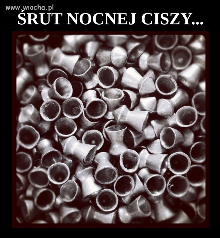 Śrut nocnej ciszy...