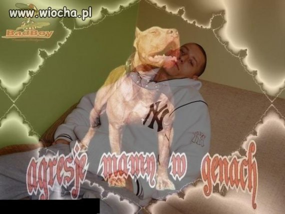 Mój groźny pies 