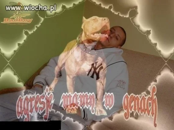 Mój groźny pies 