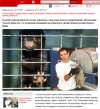 Poseł oskarżony o znęcanie się nad zwierzętami