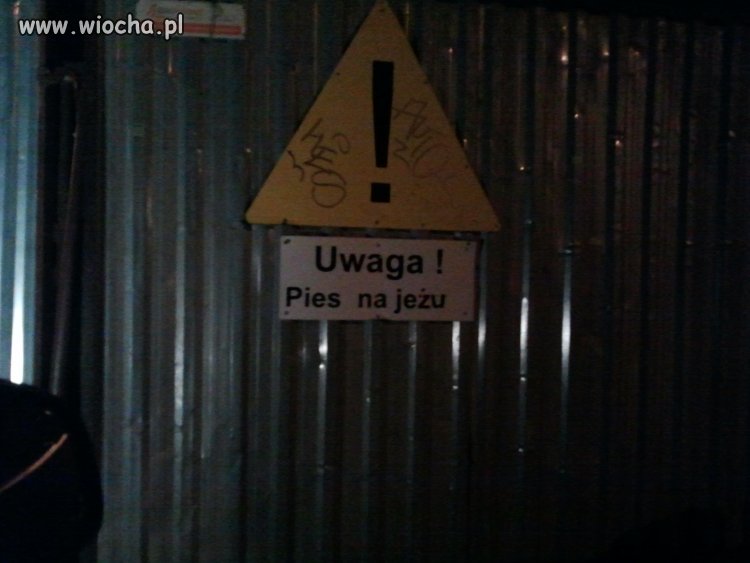Uwaga! Pies na Jeżu!