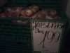 Jabłaki z polskich sadów