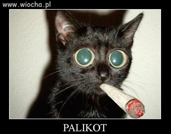 PaliKot