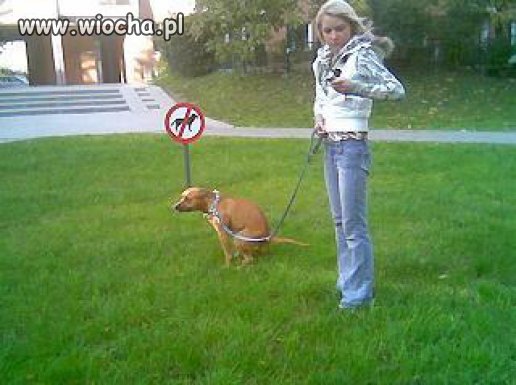 Sramy na zakazy