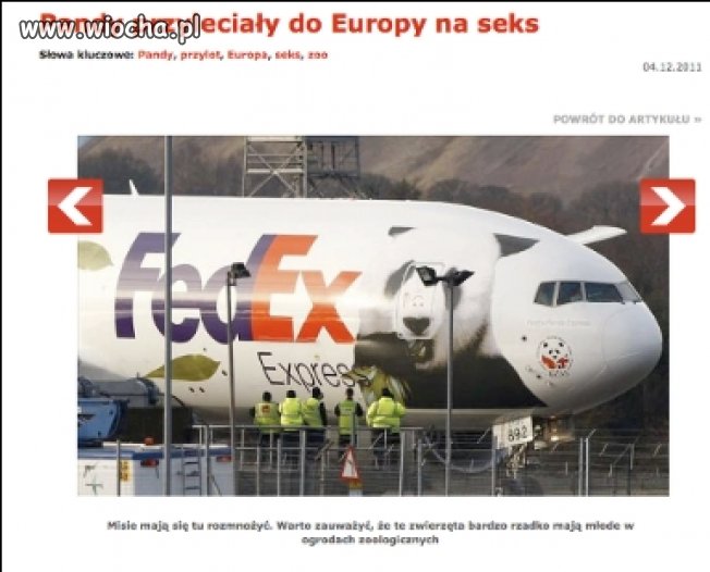Wszędzie Ci seksturyści...