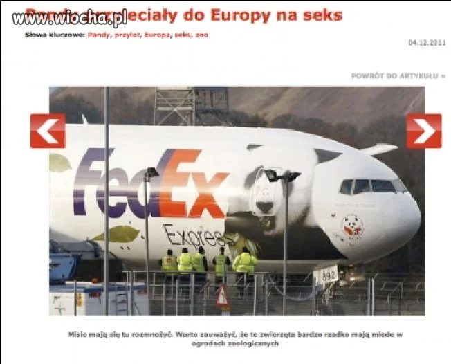 Wszędzie Ci seksturyści...