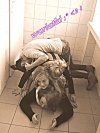 Połóżmy się w kiblu będzie fajnie...