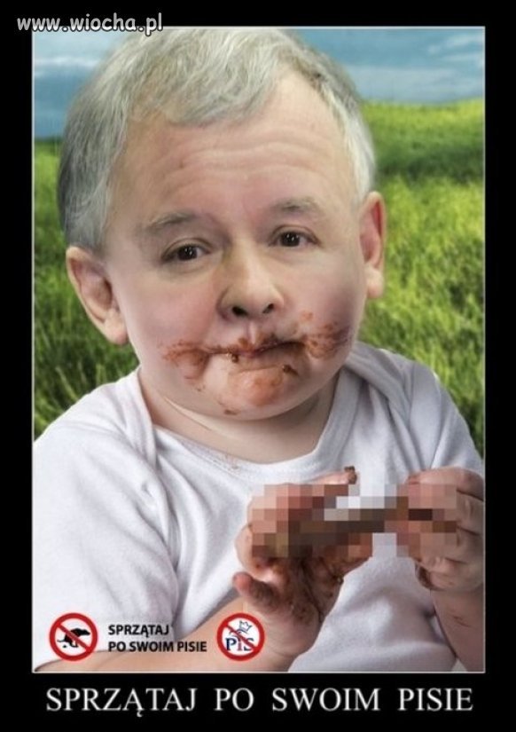 SPRZĄTAJ PO SWOIM PISIE 
