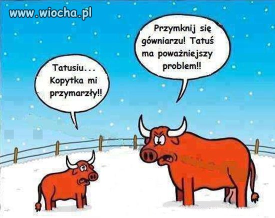 Problem mam syneczku.