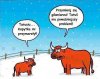 Problem mam syneczku.