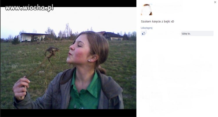 Szukaj księcia, szukaj ...