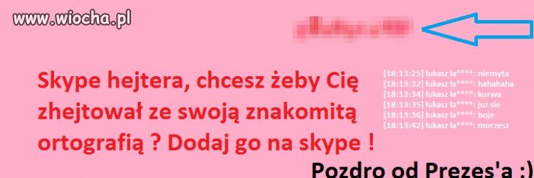Analfabetyczny hejter ze skype 