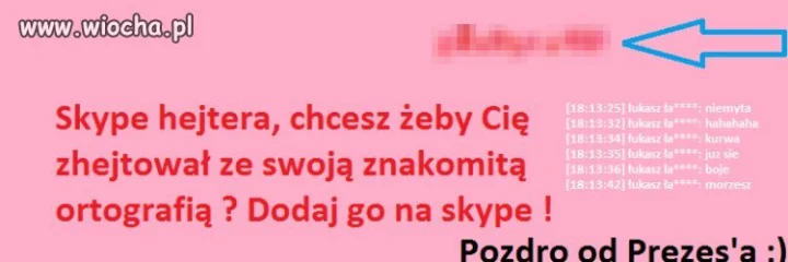 Analfabetyczny hejter ze skype 