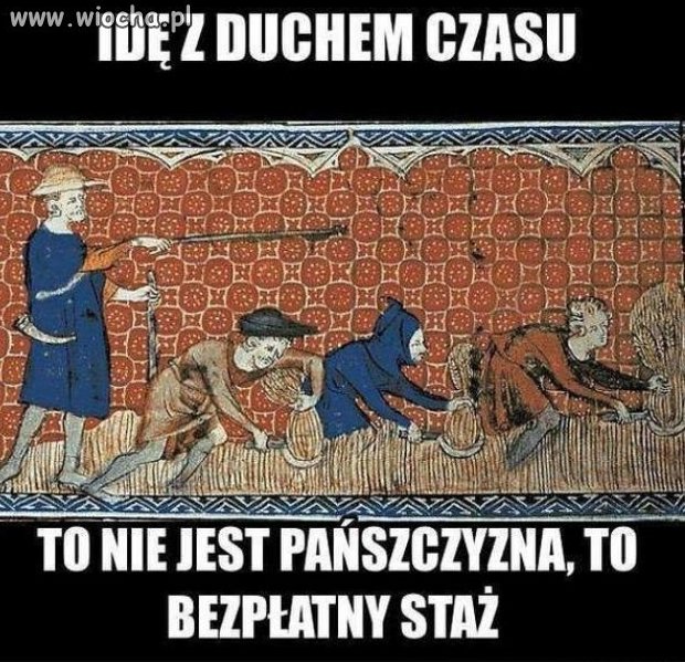 Kariera zawodowa na "Zielonej Wyspie"