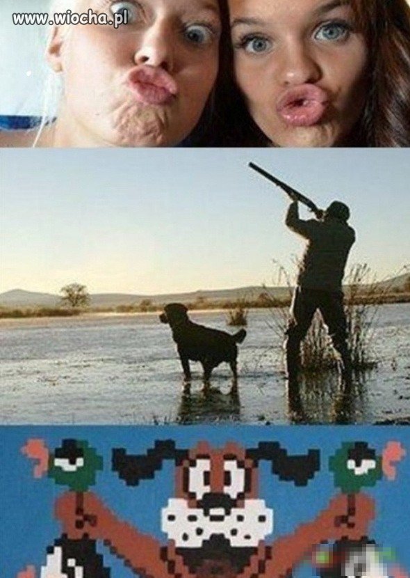 Dzióbki???