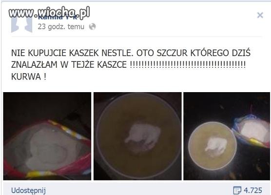Po badaniach SAN-EPIDu szczur znaleziony w kaszce 