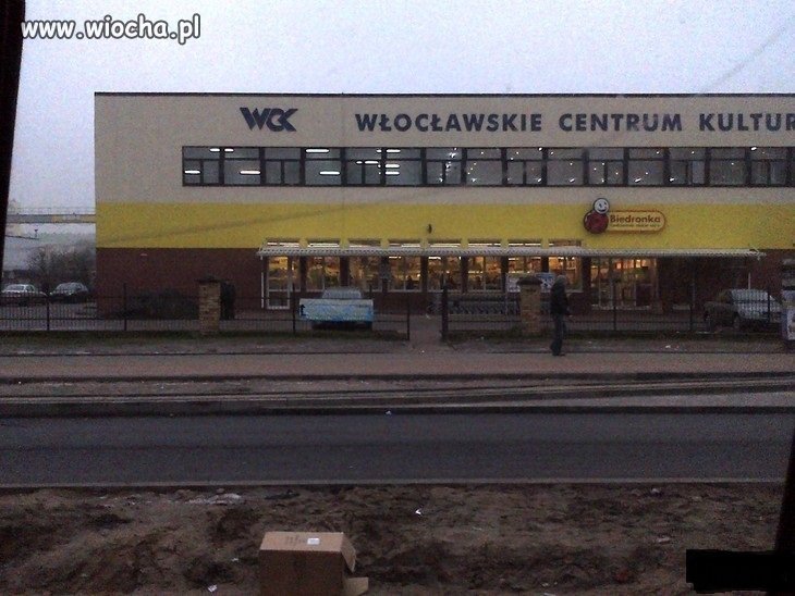 Bo Kultura jest w kropeczki