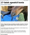 Aby życie miało smaczek, raz dziewczyna,