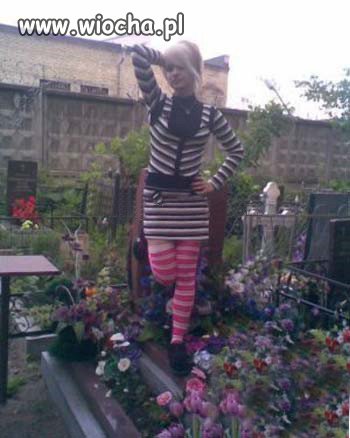 Zebra w akcji...