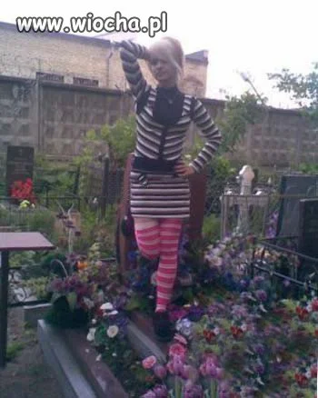 Zebra w akcji...