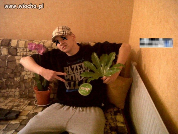 Obrazek z serii "Idiots everywhere"