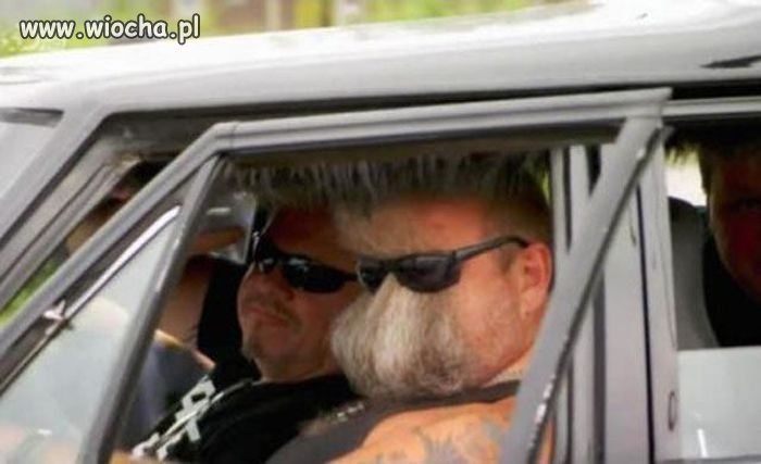 Takie tam wąsy