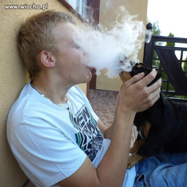 Co za idiota...