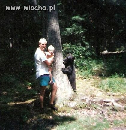 Głupota to mało powiedziane 
