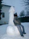 Spadły śnieg 