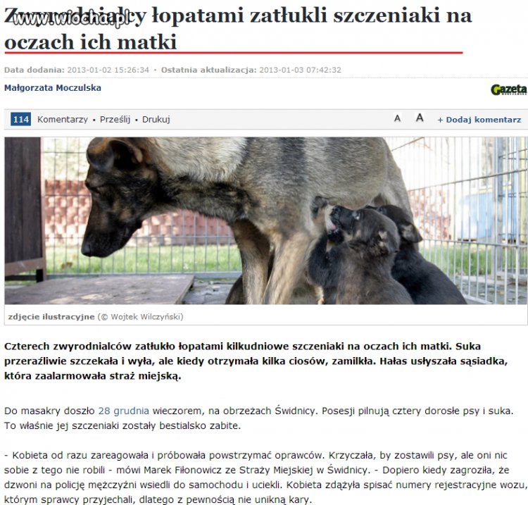 Zwyrodnialcy zatłukli łopatami szczeniaki...