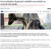 Zwyrodnialcy zatłukli łopatami szczeniaki...