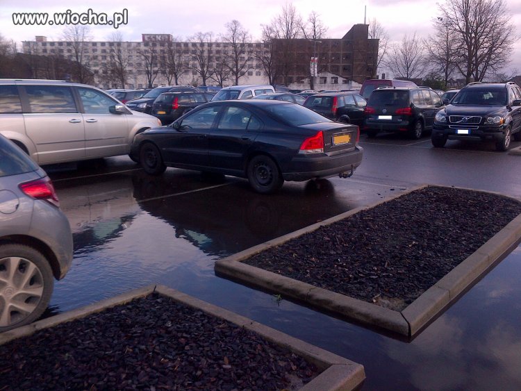 Na zewnątrz długa kolejka na pełny parking...