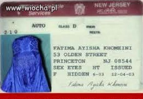 Uniwersalne prawo jazdy