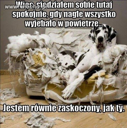 Wyszedłem tylko na noc...