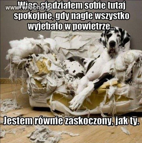 Wyszedłem tylko na noc...