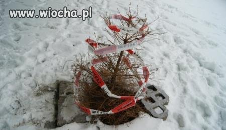 Złomiarze ukradli dekiel.