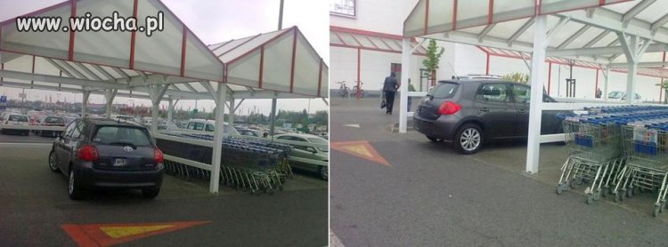 Inteligentna pani