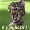 Gdy zobaczył cene za benzyne 