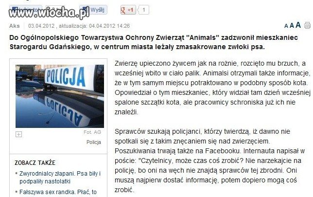 Upiekli psa na rożnie.