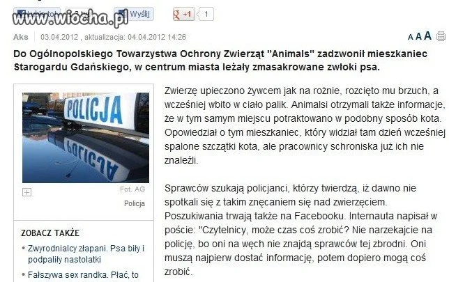 Upiekli psa na rożnie.