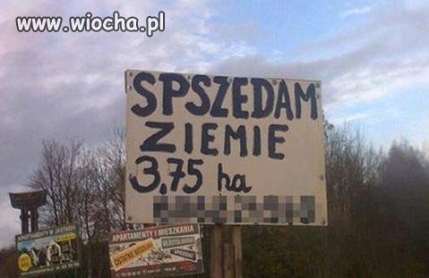 Polska ortografia