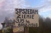 Polska ortografia