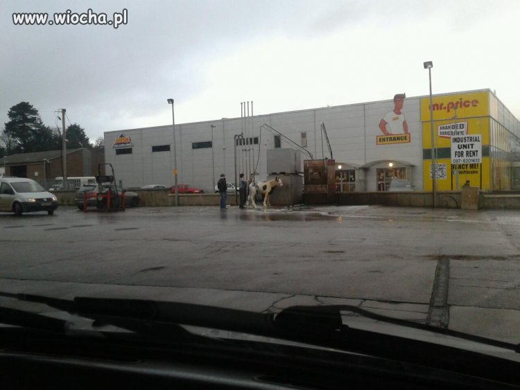 Takie rzeczy nie tylko w Polsce, bo w Irlandii też