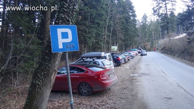 Oznakowanie polskich dróg to kraina zamętu,absurdu