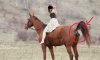 Ten koń 