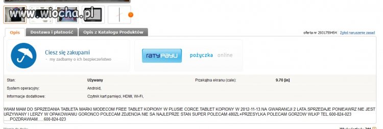 Mistrz języka polskiego